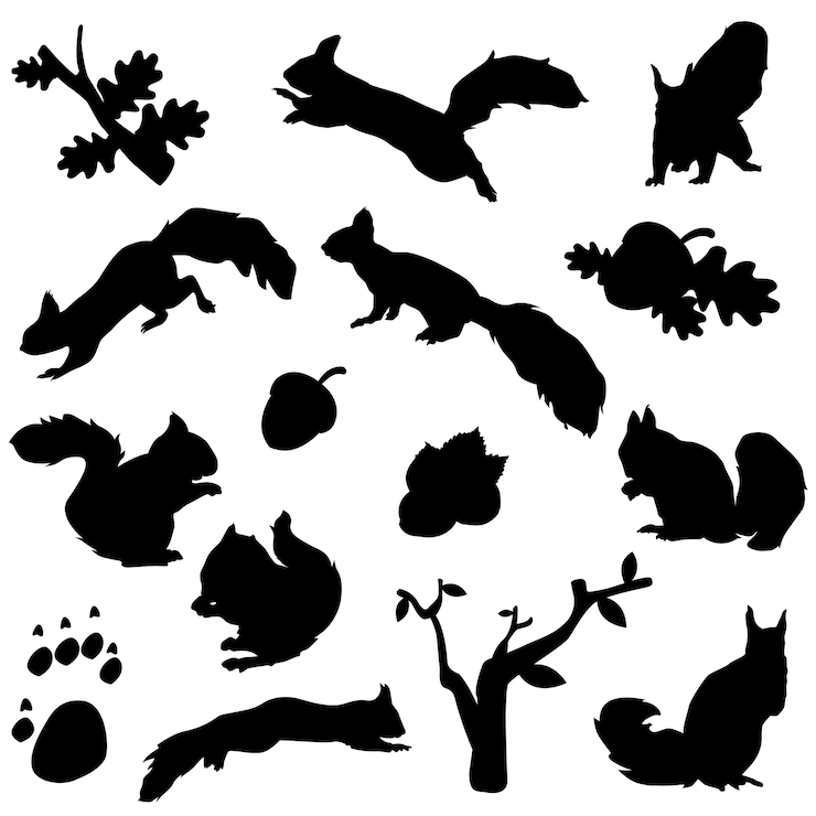 Vector squirrel forest animal silhouette clip art 
