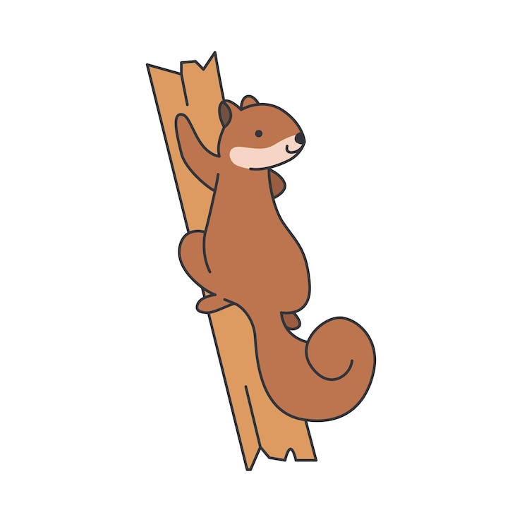 Vector squirrel illustration