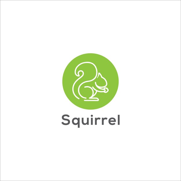 Vector squirrel logo design vector templet