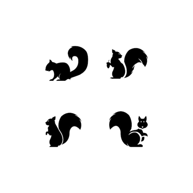 Vector squirrel logo vector icon illustration