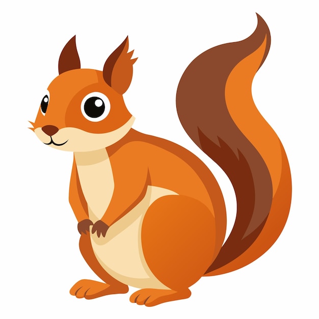 Vector squirrel pet vector illustration draw cartoon pretty cute