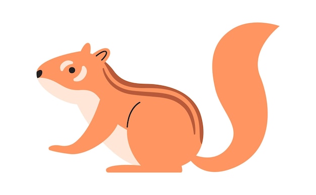 Vector squirrel rodent animal