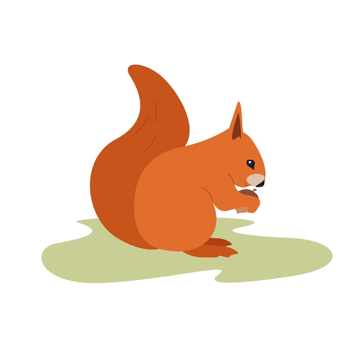 Vector squirrel sits on the lawn and holds a nut an acorn simple flat graphic of wild rodent animal