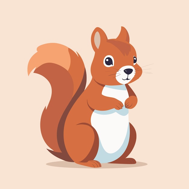 Squirrel vector illustration cartoon design for kids