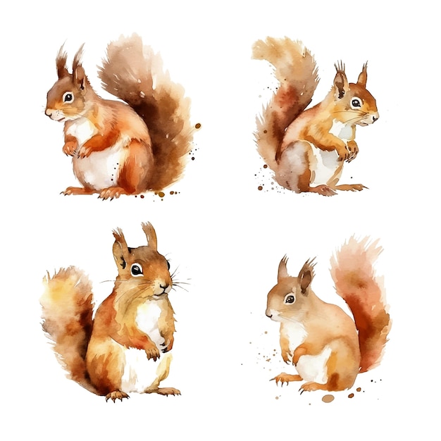 Squirrel watercolor paint collection