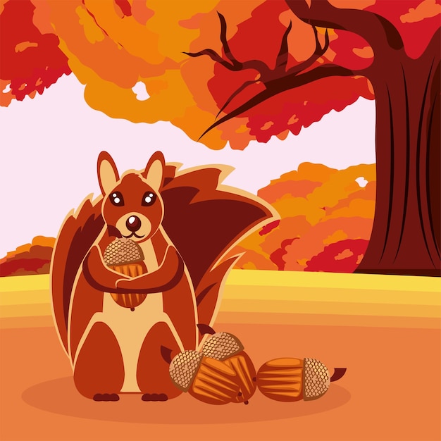 Vector squirrel with acorn and dry leaves