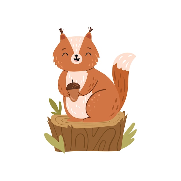 Vector squirrel with nut on trunk forest animal