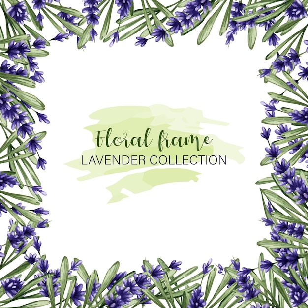 Srame with purple lavender and green leaves sprigs of summer flowers on a white background
