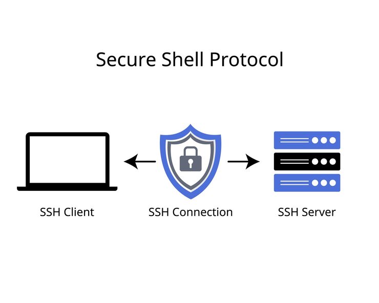 Vector ssh 프로토콜 또는 secure shell 프로토콜은 데이터를 보호하는 데 필수적인 네트워크 프로토콜입니다.