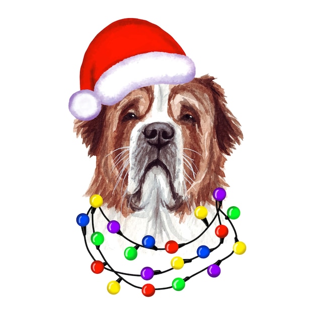 Vector st. bernard dog with christmas lights in santa's hat. cute christmas puppy illustration.