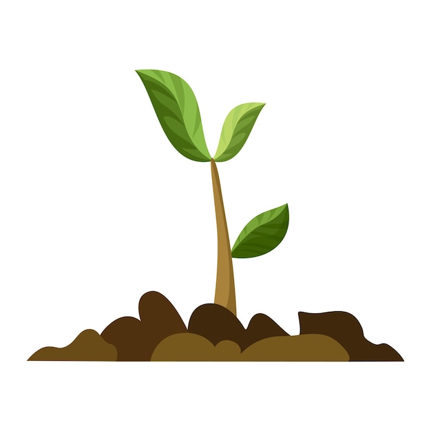 Vector stage of tree growth small tree growth with green leaf and branches illustration of business cycle development