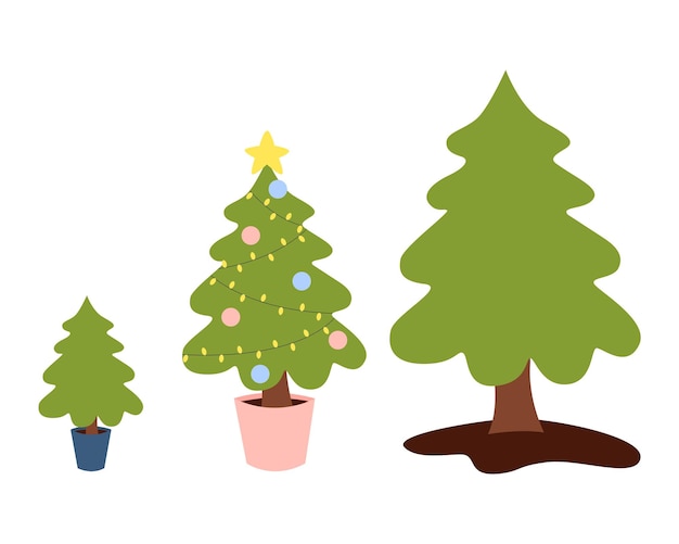 Stages of growth of a Christmas tree in a pot Ecofriendly new year and christmas reuse zero waste ecology holiday Vector illustration in cartoon style