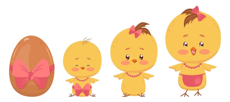 Vector stages van de ontwikkeling van het kuiken van het ei tot de hen set geïsoleerde tekeningen van het vrouwtje kuiken donker ei met