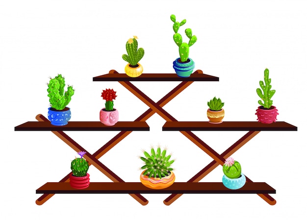 Vettore stand di cactus decorativi in vaso con spine e fiori che sbocciano. illustrazione in stile cartone animato piatto.