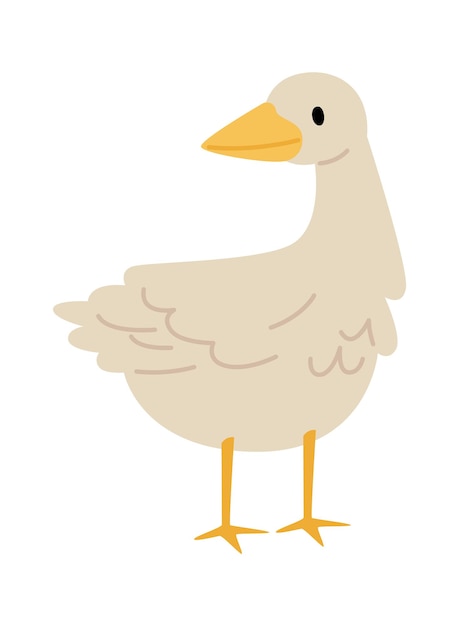 Vector standing duck bird