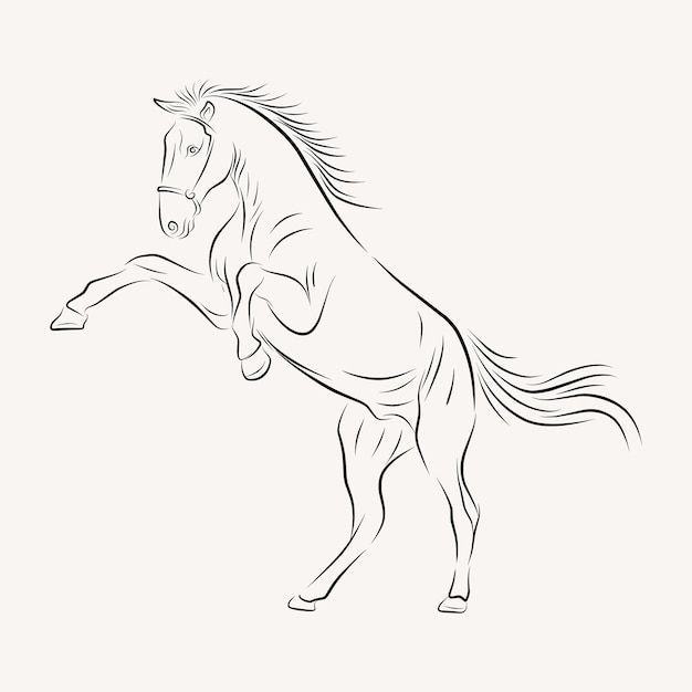 standing horse line art illustration