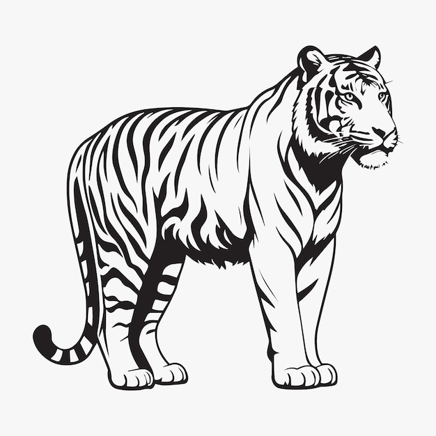 Vector standing tiger icon animal logo