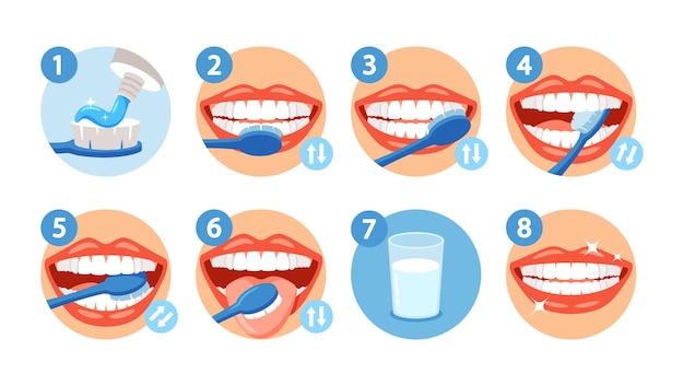 Stapsgewijze instructie over hoe u uw tanden goed kunt poetsen Infographics Tandenborstel Tandpasta Schone witte tanden voor mondhygiëne Gezonde levensstijl iconen Cartoon vectorillustratie