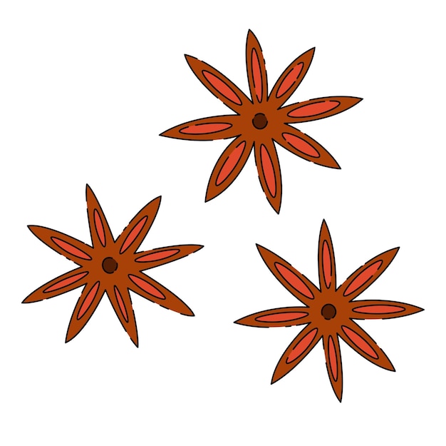 Vector star anise aromatic spice holiday aroma natural scent element