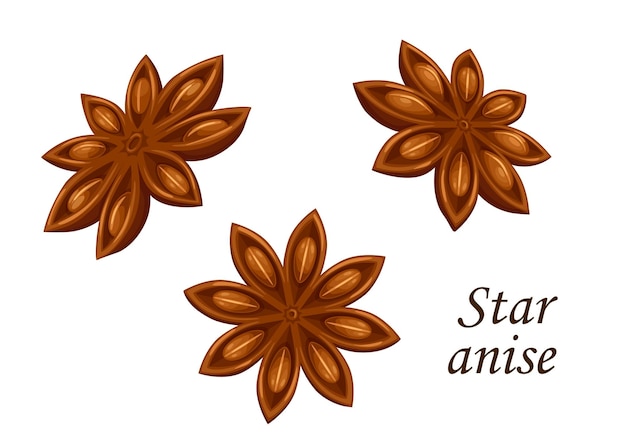 Star anise seed food spice seasoning condiment