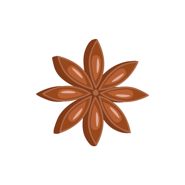 Star anise on white background  vector.