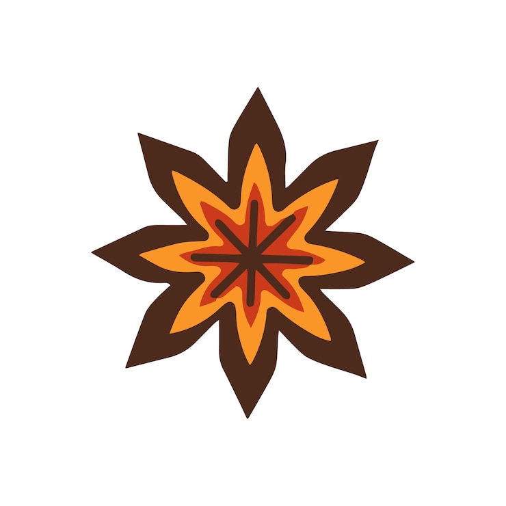 Vector star anise on a white background