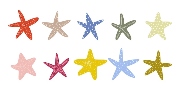 Vector starfish atlantic star marine animal vector illustration on white background