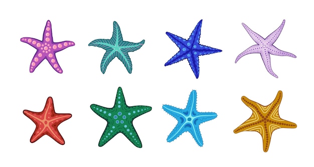 Starfish in different style and colors Colorful and cute