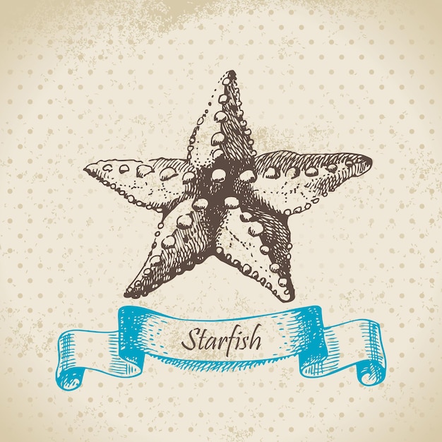 Морская звезда. рисованной иллюстрации