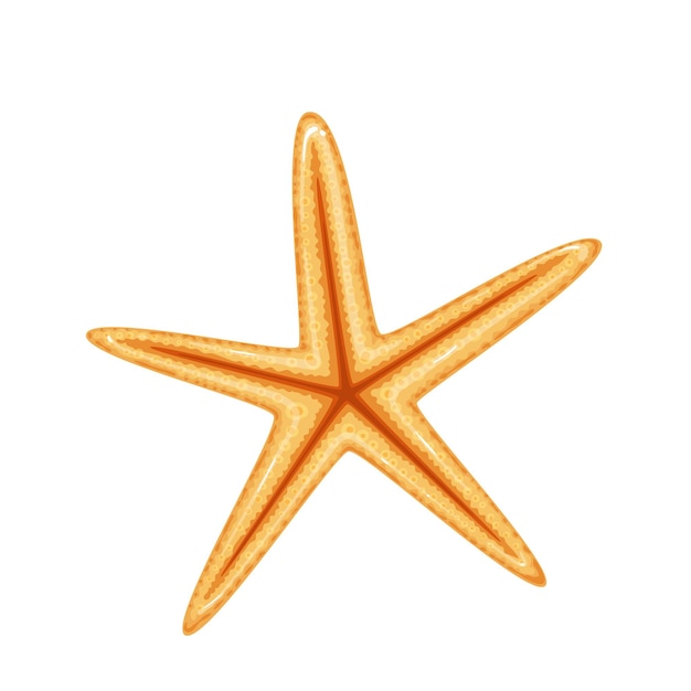 Starfish or sea star vector illustration