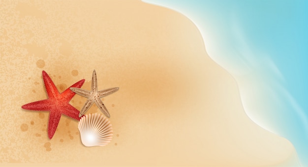 Vector starfish and shellfish elements summer sale promotion  shopping,summer promo,holidays on the beach,web banner template background vector 3d style