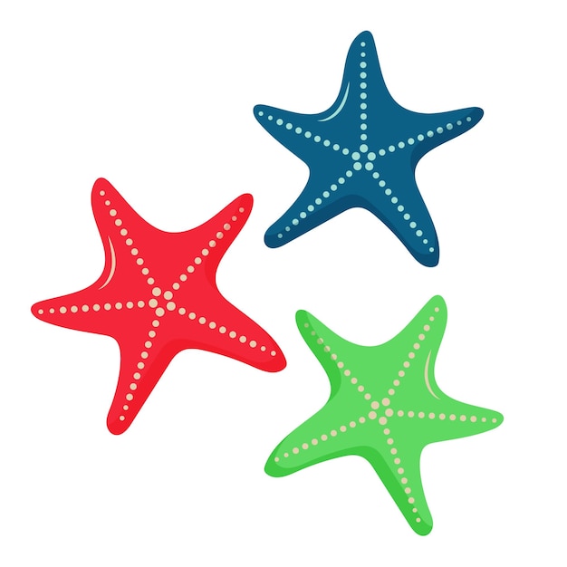 Starfishes with different colors vector cartoon illustration