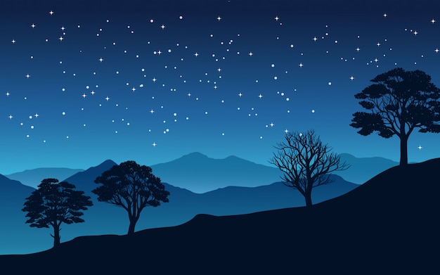 Vector starry night in valley with trees and mountain