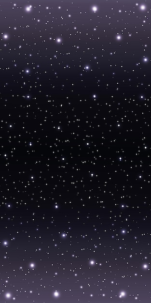 Vector stars in night sky