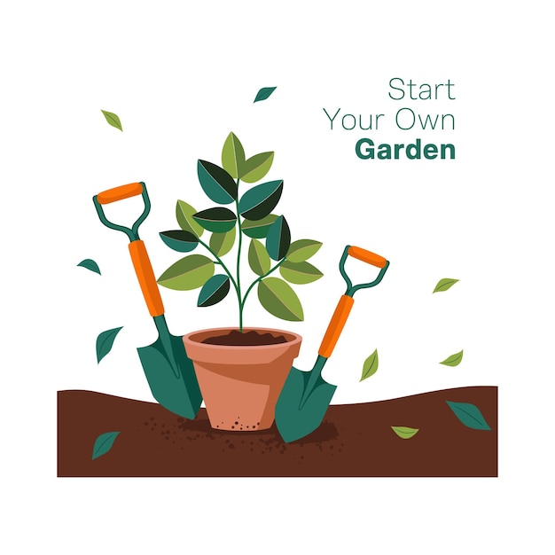Start Your Own Garden