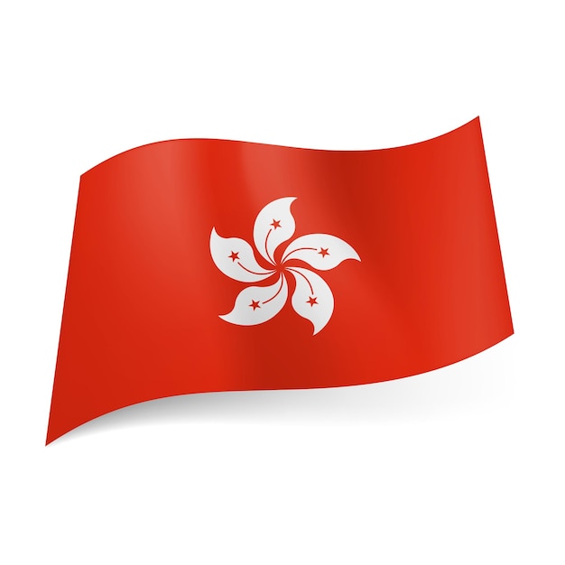 Vector state flag of hong kong