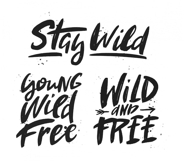 Stay wild lettering set.