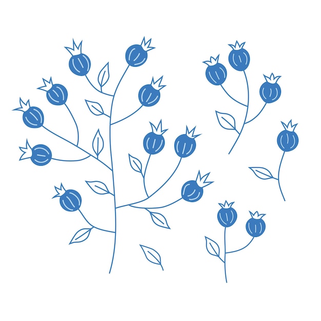 Staylish Blueberry branch for package , web, book decorating. Hand drawn line vector illustration.