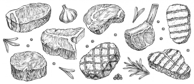 Schizzo di bistecca. bistecca di manzo, agnello e maiale disegnata a mano extra o mediamente cotta con aglio, verde e spezie al pepe