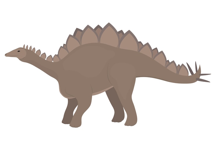 Vector stegosaurus dinosaur enxtinct creature isolated on white