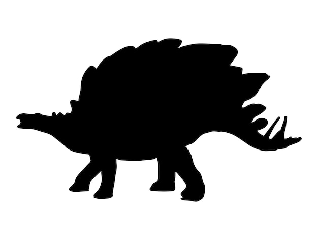 Stegosaurus Dinosaur on white background