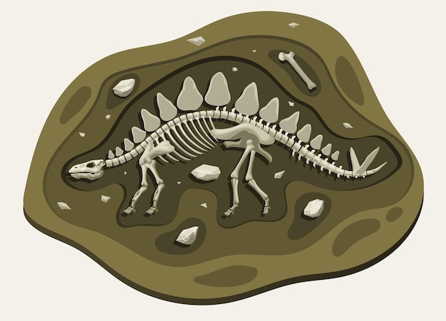 Vettore stegosauro dinosauri archeologia fossile cartoon scopri nel terreno
