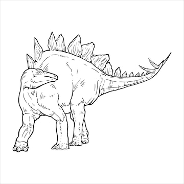 Desenho Para Colorir luta entre t-rex e estegossauro - Imagens