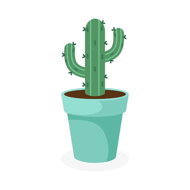 Stekelige cactus in een bloempot.