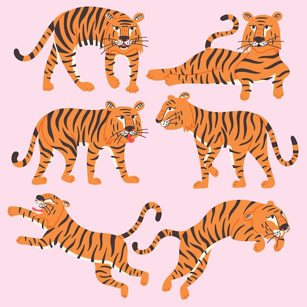 Stel Aziatische Chinese tijger in. Wild roofdier koning der beesten. Dierlijke vector illustratie platte cartoon stijl