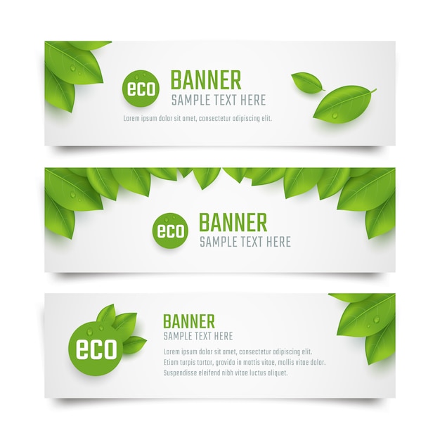 Stel eco banners sjabloon met verse groene bladeren