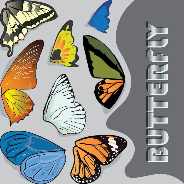 Stel een grote verzameling kleurrijke vlinders in