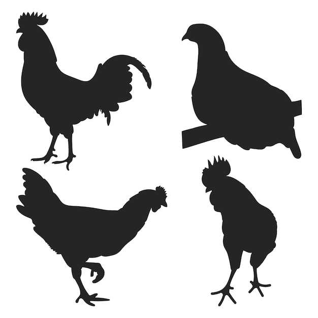 Vector stel haan haan haan kip kip kuiken positie staande pluimvee silhouetten hand getekende vector