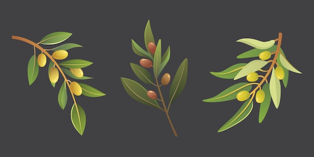 Stel olijven fruit olijfboomtak vectorillustratie in cartoon-stijl