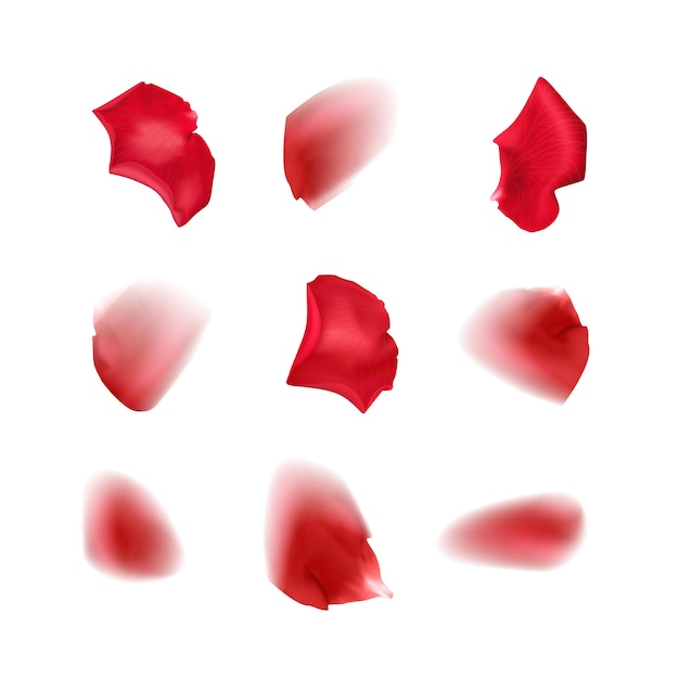 Vector stel rozenblaadjes, wazig rozenblaadjes van rode kleur in